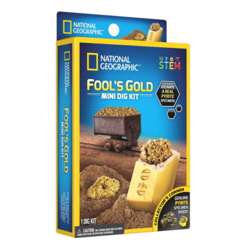 Fool's Gold Mini Dig Kit