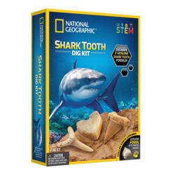 Shark Tooth Dig Kit