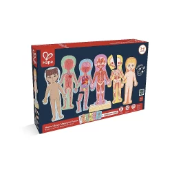 Human Body Magnetic Puzzle