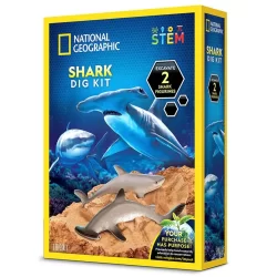 Shark Dig Kit